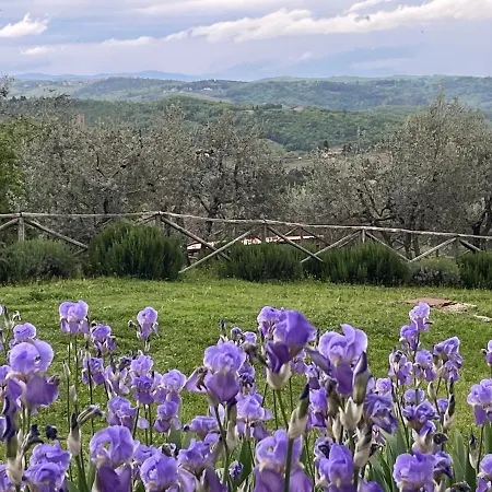 Il Fiorino Di Badia *