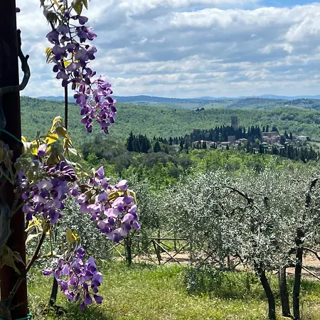 Il Fiorino Di Badia Apartment Badia A Passigano