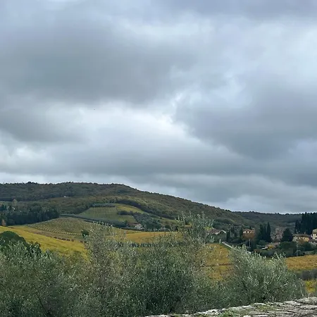 Il Fiorino Di Badia *